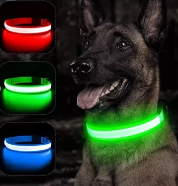 ✅COLLAR LED PERROS Y GATOS✅