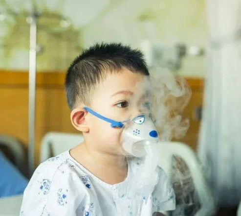 Nebulizador Portátil Niños Adultos