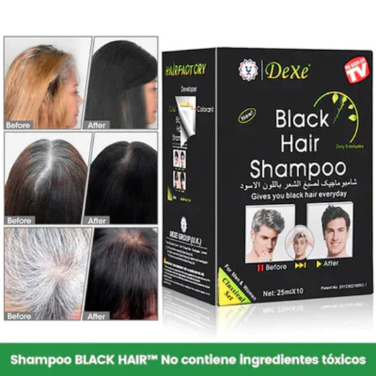 SHAMPOO PINTA CANAS NEGRO