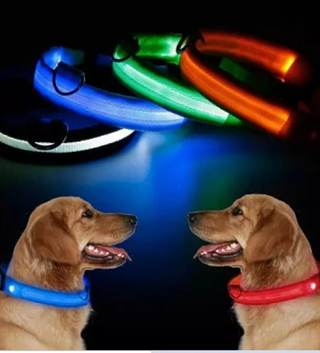 ✅COLLAR LED PERROS Y GATOS✅