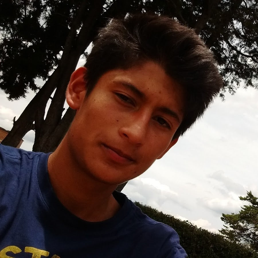 <em>Vicente F.</em>